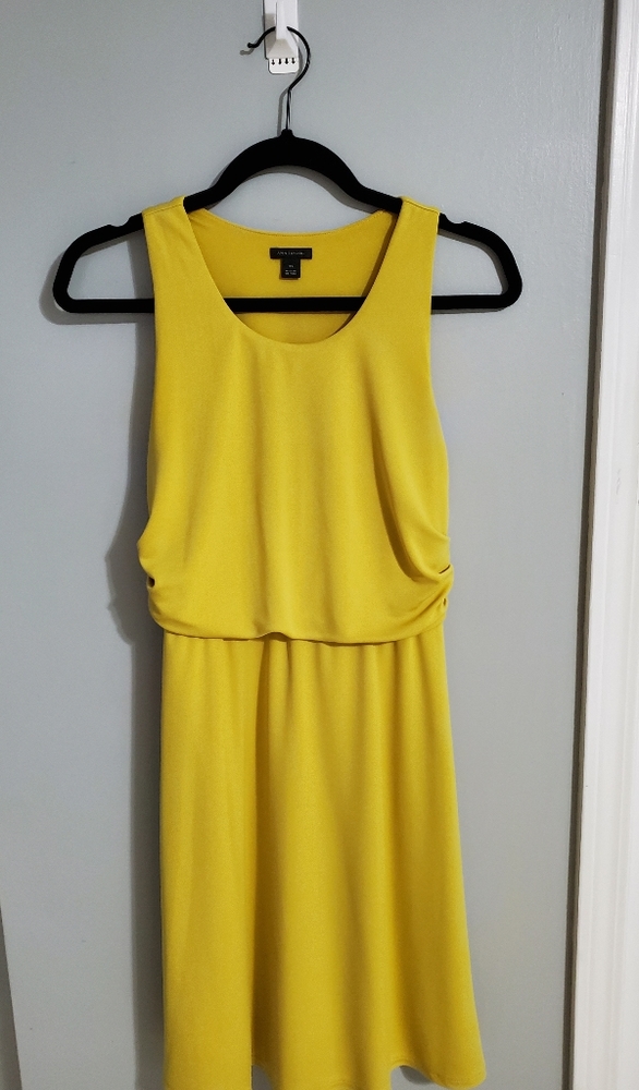 Ann Taylor Dress